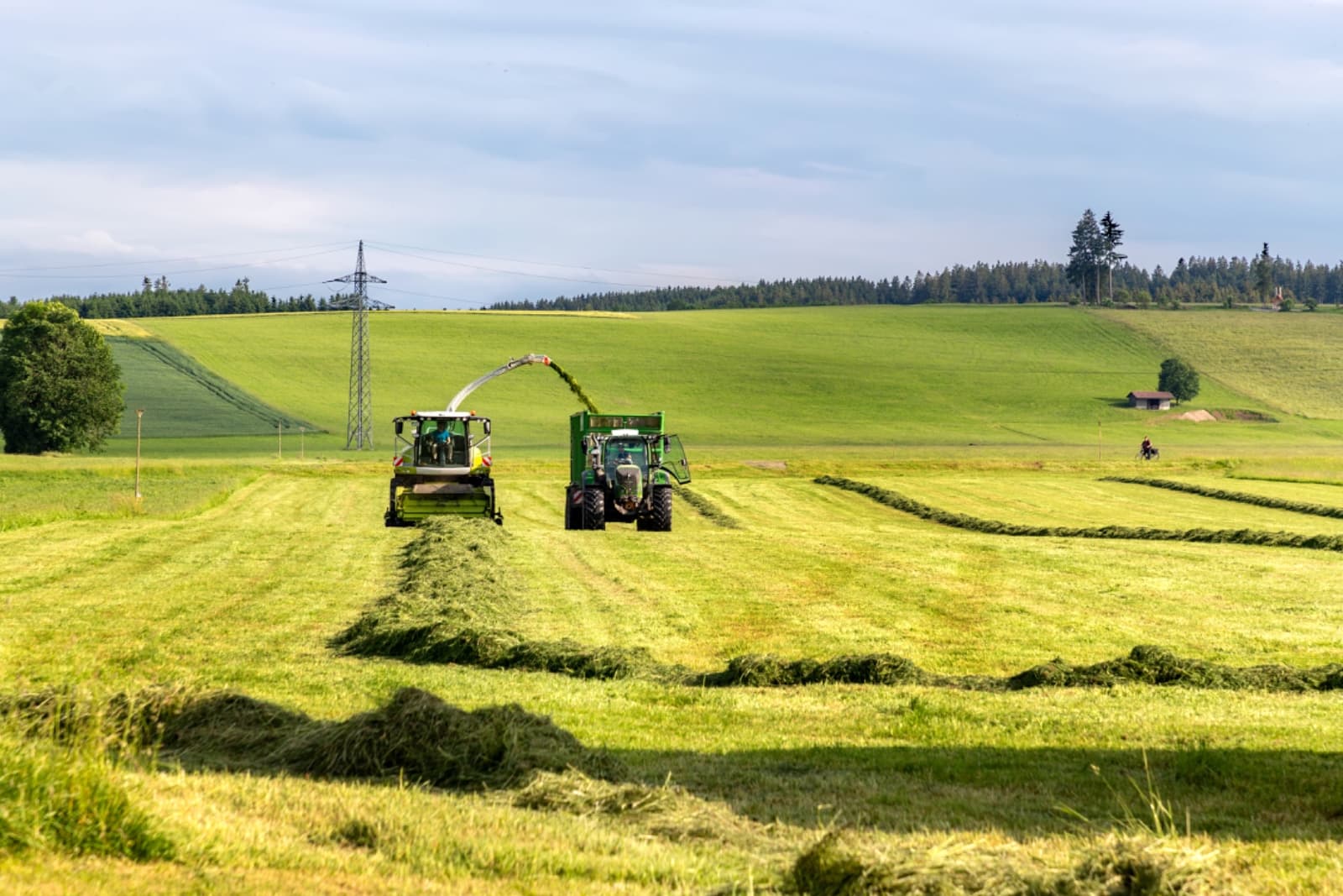 Silage harvesting