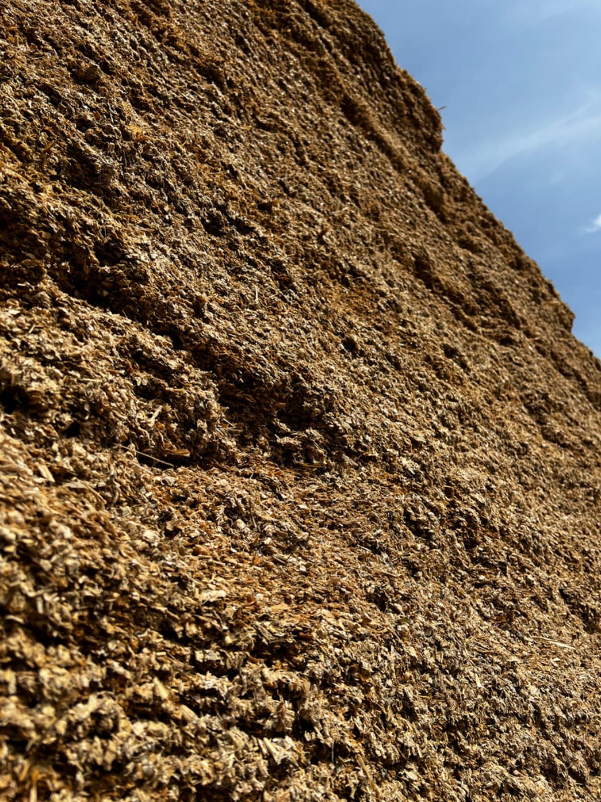 Cut Silage Losses: Trace Elements, Clamp Stability & Costs